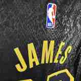 Youth LeBron James Black Team Jersey