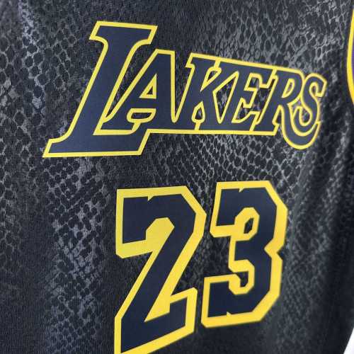 Youth LeBron James Black Team Jersey