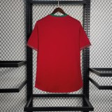 Portugal 2012/2013 Home Retro Jersey
