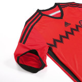 Mexico 2014 World Cup Away Retro Jersey