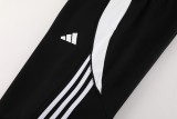 Men's 2025 Training Jacket and Pants Set AJ17 - 5