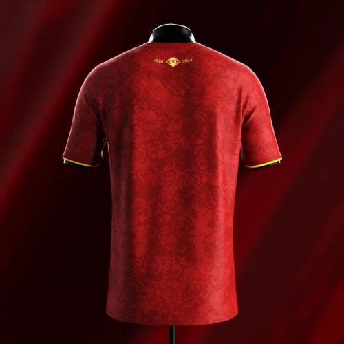 Thai Version Spain 24/25 Special Jersey