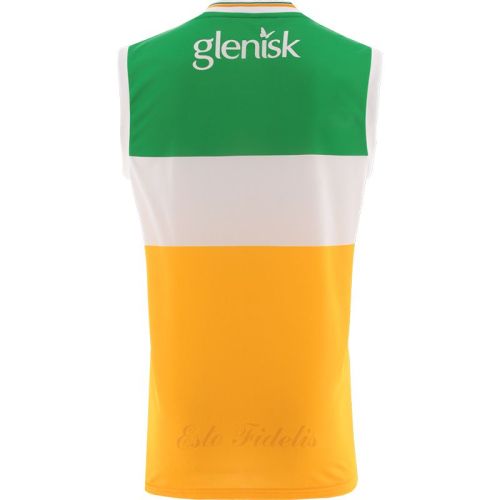 Offaly GAA 2024 Mens Home Vest