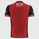 Down GAA 2025 Men's Home Jersey - 3 Stripe