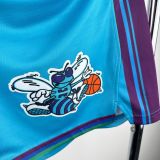 Men's 2024 Retro Team Shorts