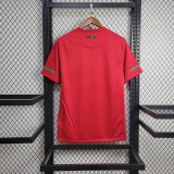 Portugal 2010 Home Retro Jersey