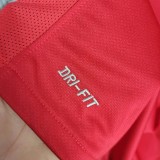 Portugal 2010 Home Retro Jersey