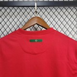 Portugal 2010 Home Retro Jersey