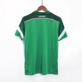 Mexico 2014 World Cup Home Retro Jersey
