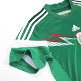 Mexico 2014 World Cup Home Retro Jersey