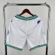 Men's 2024 Retro Team Shorts