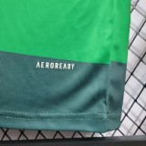 Palmeiras 2010/2011 Home Retro Jersey