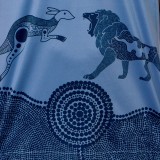 Australia Wallabies Lions Tour 2025 Training Rugby Polo