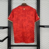 Thai Version Spain 24/25 Special Jersey