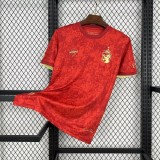 Thai Version Spain 24/25 Special Jersey