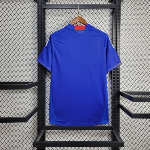 Japan 2010/2011 Home Retro Jersey