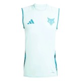 Thai Version Cruzeiro 2025 Training Sleeveless Jersey