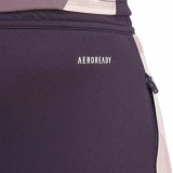 Player Version ARS 25/26 Pro Training Pants