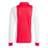 Thai Version Ajax 25/26 125th Anniversary Long Sleeve Jersey