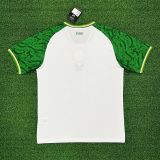 Thai Version Ireland 2025 Hype Jersey