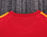 Kids Spain 2008 Euro Home Retro Kit