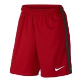Portugal 2016 Euro Home Retro Shorts