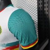 Player Version Cameroon 2025 Third Authentic Jersey