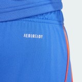Thai Version Universidad de Chile 25/26 Home Shorts