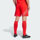 Thai Version Universidad de Chile 25/26 Away Shorts