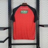 Thai Version Palestino 25/26 Special Jersey