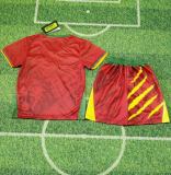 Kids Cameroon 2025 Home Jersey and Short Kit