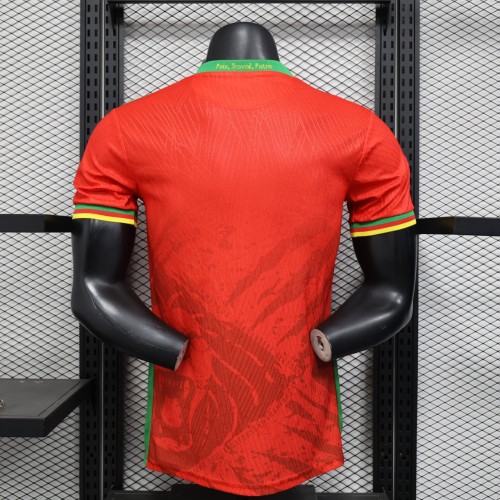Player Version Cameroon 2025 Away Authentic Jersey