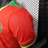 Player Version Cameroon 2025 Away Authentic Jersey