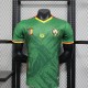 Player Version Cameroon 2025 Home Authentic Jersey