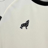 Thai Version Paysandu 25/26 Training Jersey