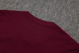 Bayern Munich 25/26 Retro Training Shirt and Shorts Set D2527