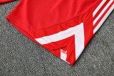Bayern Munich 25/26 Training Shirt and Shorts Set Red