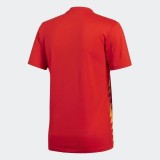 Spain 2018 World Cup Home Retro Jersey