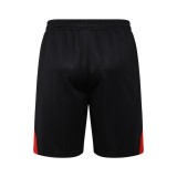 Bayern Munich 25/26 Training Shirt and Shorts Set D2556