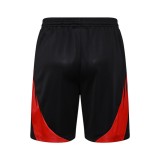 Flamengo 25/26 Sleeveless Jersey and Shorts Set D2560