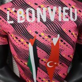 Player Version Palestino 25/26 Special Authentic Jersey