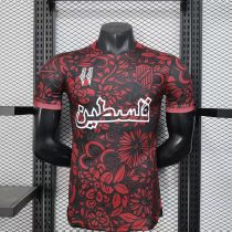 Player Version Palestino 25/26 Special Authentic Jersey