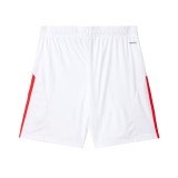 Thai Version Benfica 25/26 Home Shorts