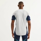 Player Version ARS 25/26 Grey Training Pro Jersey