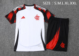 Flamengo 25/26 Training Shirt and Shorts Set D2564