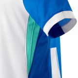 Thai Version Brighton & Hove Albion 25/26 Home Jersey