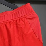 Player Version Bayern Munich 25/26 Home Authentic Shorts