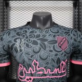 Player Version Palestino 25/26 Special Authentic Jersey