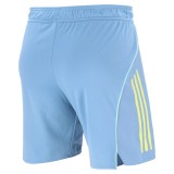 Player Version Juventus 25/26 Away Authentic Shorts