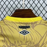 Thai Version Santos 25/26 Special Jersey